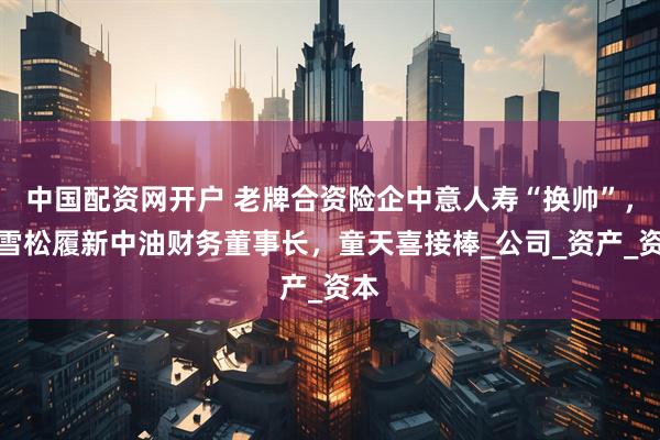 中国配资网开户 老牌合资险企中意人寿“换帅”，赵雪松履新中油财务董事长，童天喜接棒_公司_资产_资本