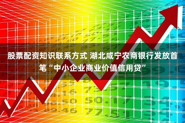 股票配资知识联系方式 湖北咸宁农商银行发放首笔“中小企业商业价值信用贷”